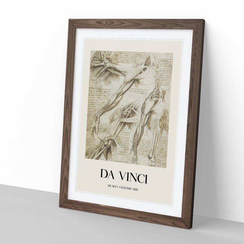 Human Anatomy Vol.1 by Leonardo Da Vinci - Picture Frame Drawing, Walnut Framed, 48cm H x 36cm W x 2cm D