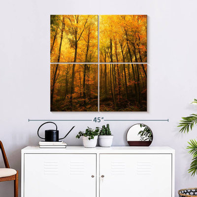 Alvord Forest In Autumn