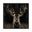 « young flamby », reproduction sur toile-30006796-72422069-72422070