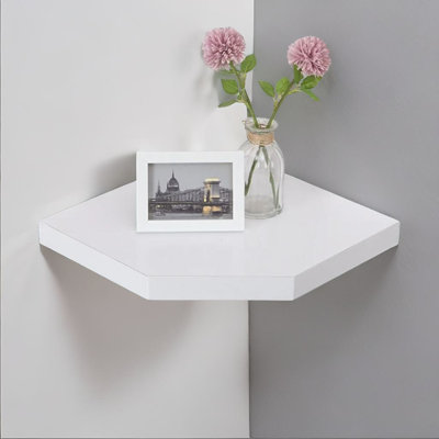 Antaneisha Floating Shelf