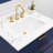 Gervais 30'' Single Bathroom Vanity with Top-2061857196-2125333823