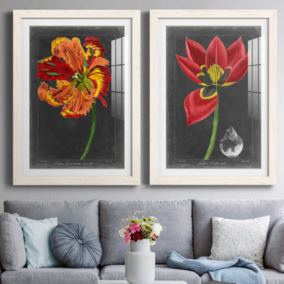 «Midnight Tulip» IPémium, reproduction encadrée - prête à être accrochée