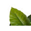 133cm Faux Banana Leaf Plant in Pot