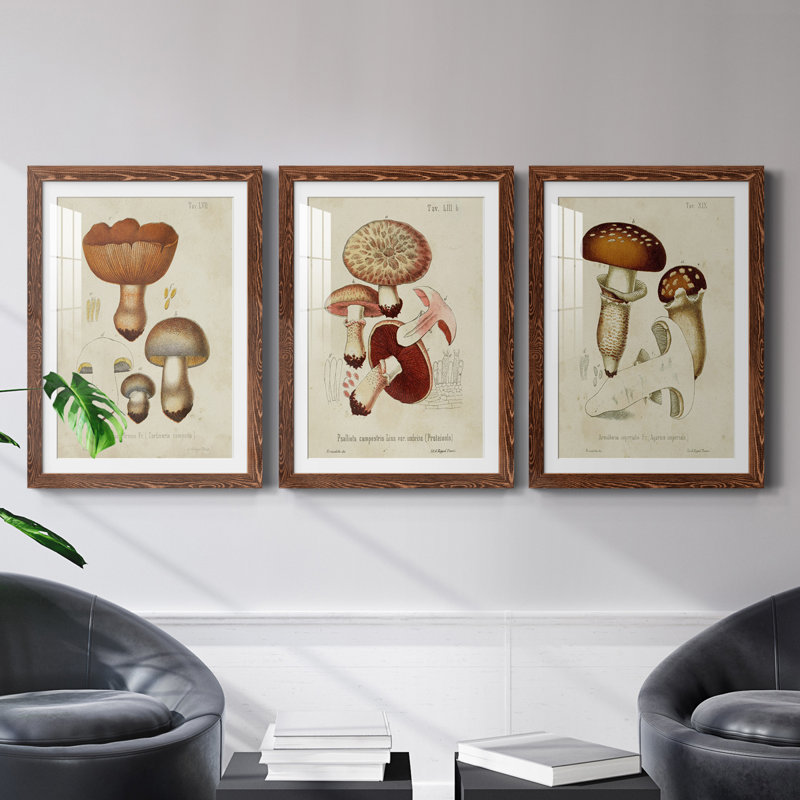 Champignon Variétés I encadré mat - prêt à accrocher, H 37,5 po x l 82,5 po x P 1,5 po, Érable