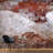 Damiyon Wall Mural-1134718122