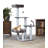 Borrego 51'' H Cat Tree