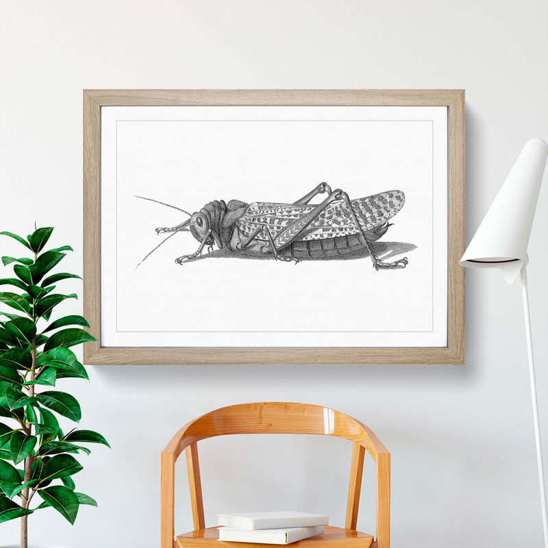 Cricket in Black & White by George Shaw - Picture Frame Painting Print on MDF, Oak Framed, 36cm H x 48cm W x 2cm D