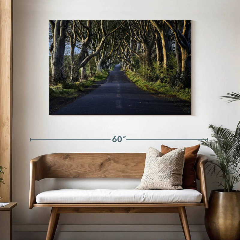 Kavia The Dark Hedges, 32" H x 48" W