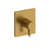 Brushed Gold is out of stock selected