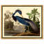Louisiane héron - Impression sur toile-63582451-63582452-119891342