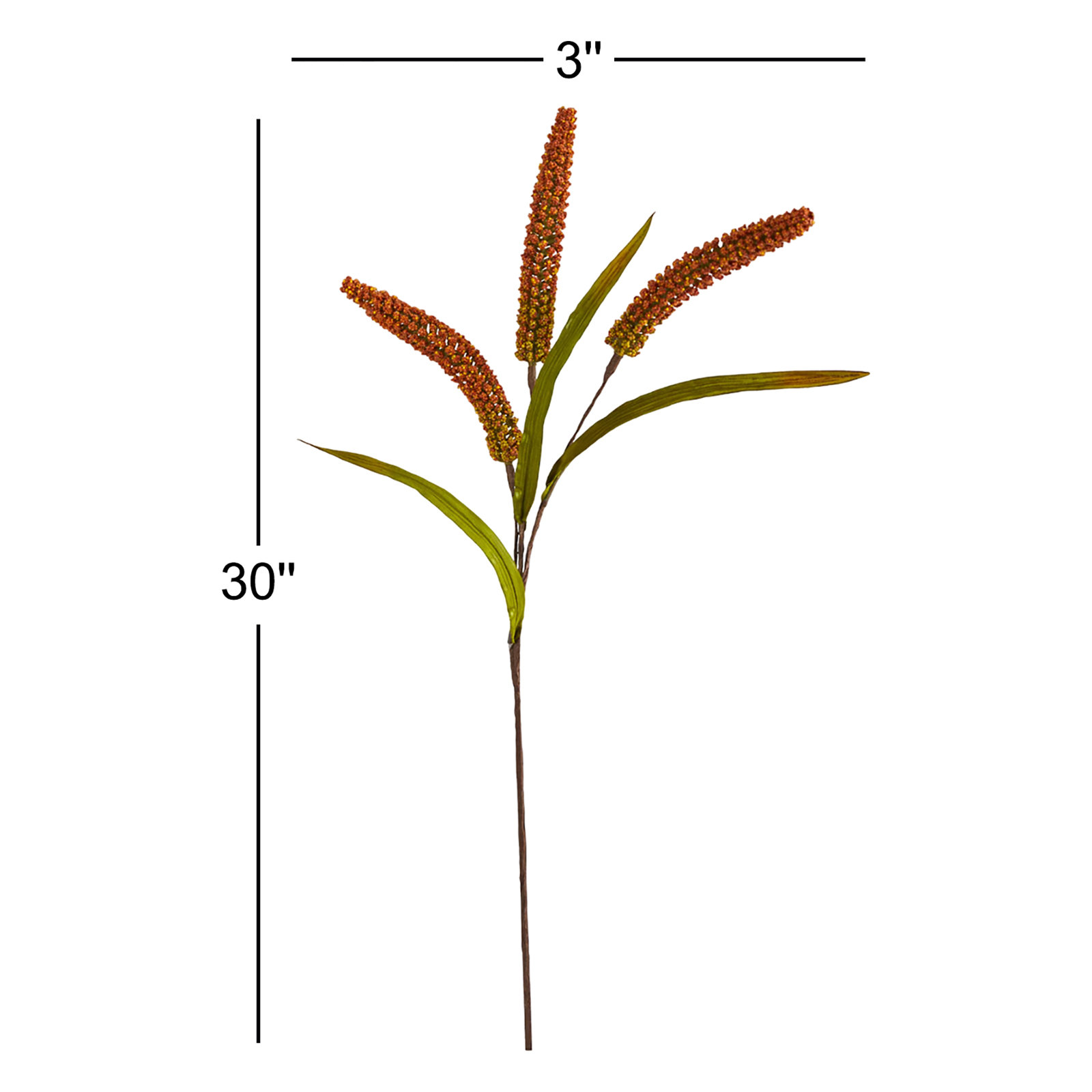Sorghum Floral Stems, Orange