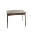 Table de salle à manger Contemporary