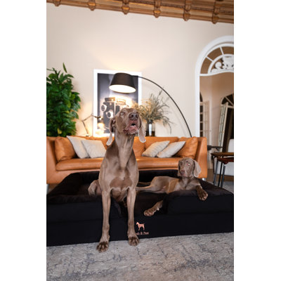 Lit pour petit chien Noah & Paw, lit pour chat d'intérieur, mousse viscoélastique orthopédique imprégnée de gel rafraîchissant, housse intérieure imperméable lavable à la machine (collection Denim)