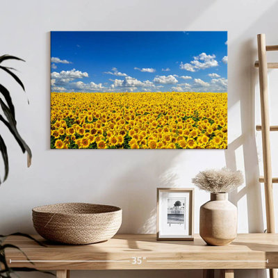 Grand champ de tournesols Alvord