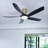 Lileah 5 - Blade LED Standard Ceiling Fan with Remote Control and Light Kit Included-1565808992