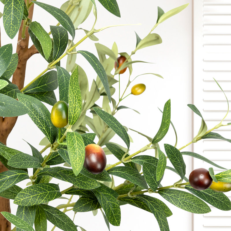 71" 6FT Tall Faux Olive Tree, Realistic Artificial Olive Plant with Full Dense Leaves and Natural Trunk, Maintenance-Free Potted Floor Tree for Home Office Corner Decoration