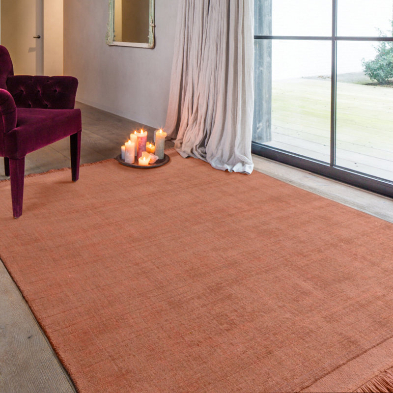 Aerilyn Solid Colour Hand Woven Area Rug, Rectangle 200 x 290cm