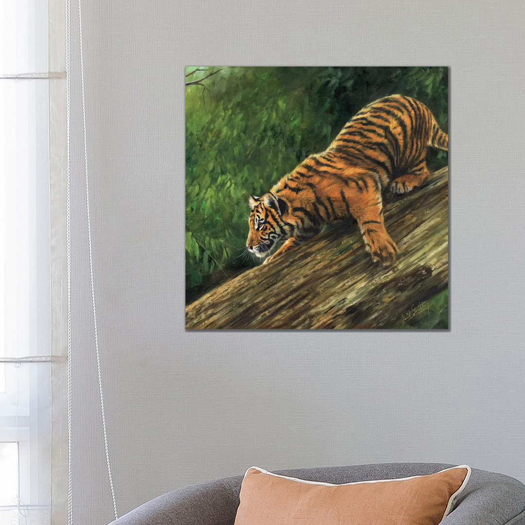 Tiger In Tree von David Stribbling - Galerie-umwickelte Leinwand Giclée