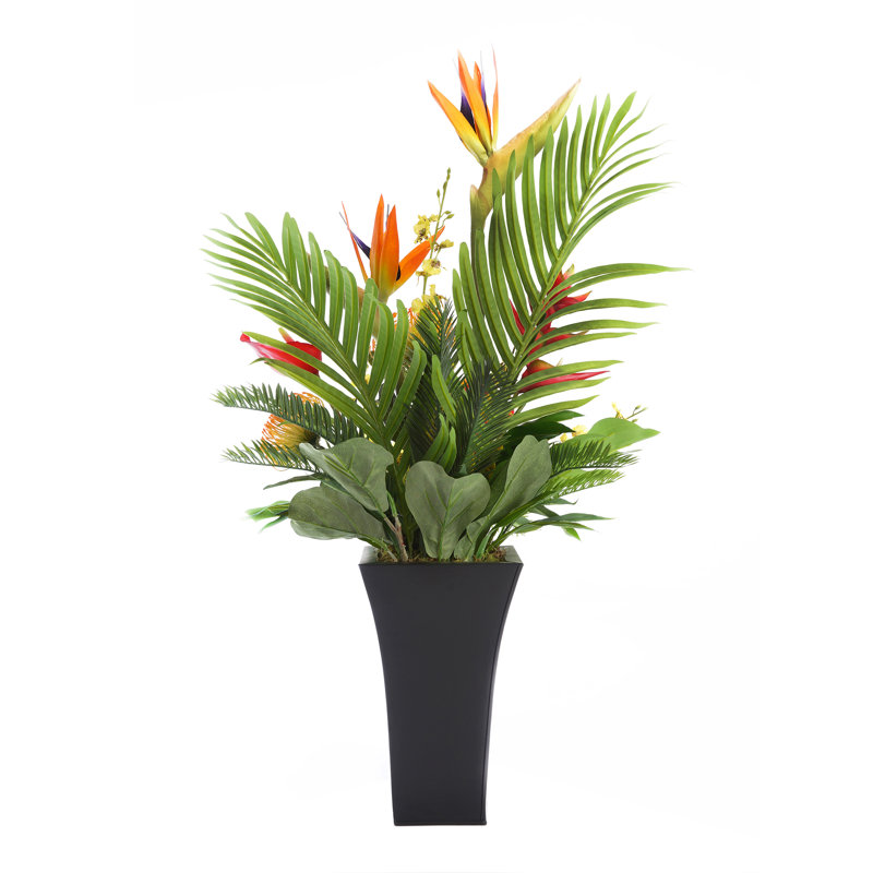 Orchid Arrangement in Planter