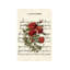 La Vie En Rose - Wrapped Canvas Print-1269212347-1269212345