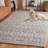 Tugrul Hand Woven Wool/Pet Wool/Cotton Geometric Rug in Gray-1581861119