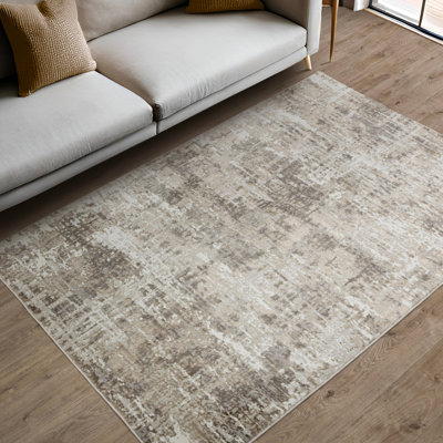 Annu Abstract Beige Area Rug