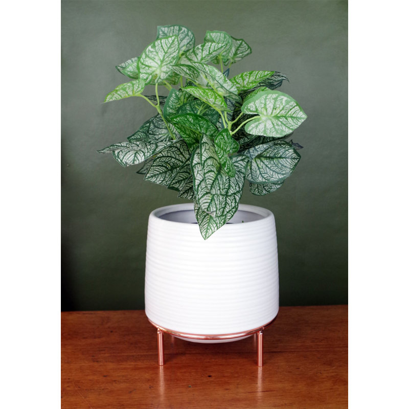 Ceramic Cachepot