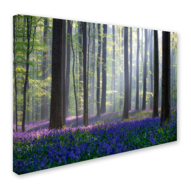 « bluebells », reproduction de photo sur toile tendue, H 35 po x l 47 po