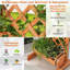 Holubice Planter Box