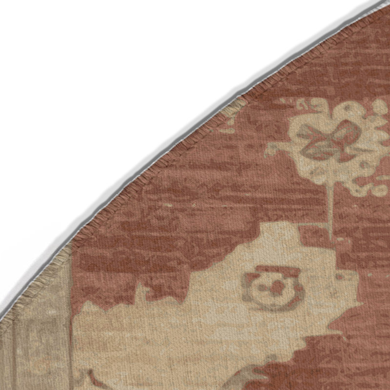 Tapis intérieur et extérieur brun Overdyed, Rond 5 pi