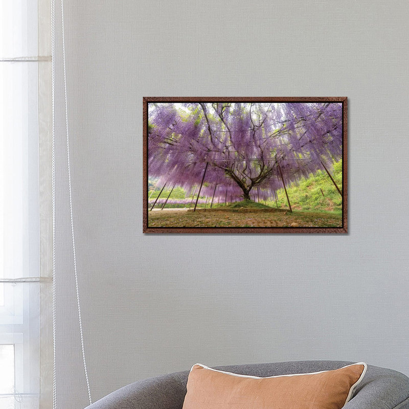 Spring In Japan XXII by Daisuke Uematsu - Print on Canvas, Classic Brown Wood Framed, 45.72cm H x 66.04cm W x 3.81cm D