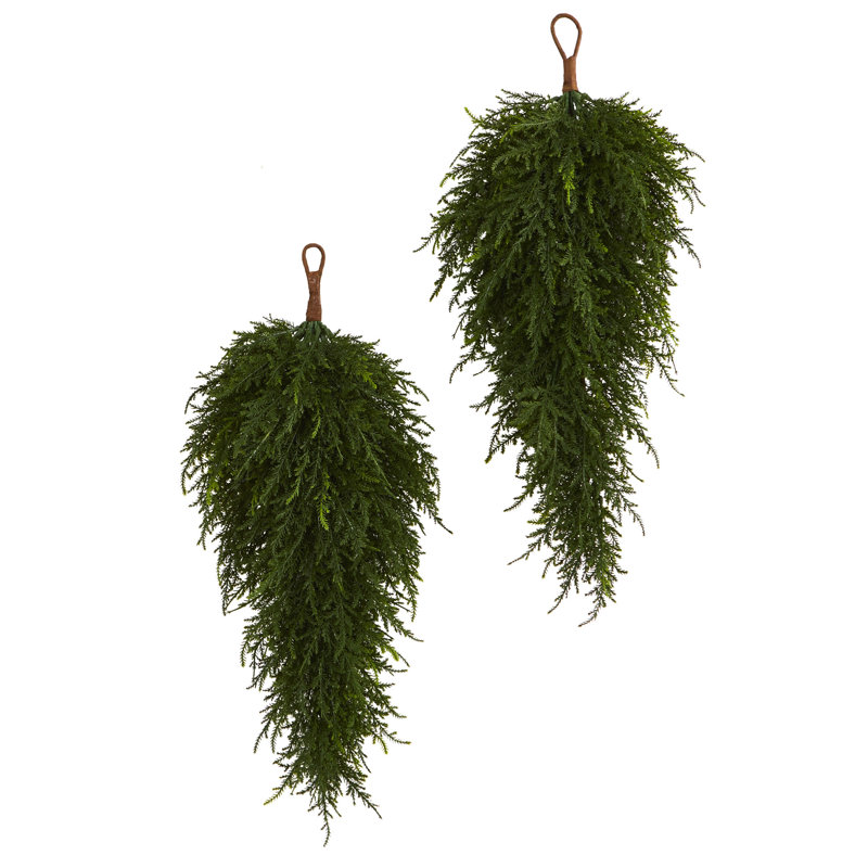 Cedar Arrangement