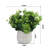 10'' Faux Eucalyptus Topiary in Ceramic Pot