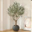 Akita 7' Faux Olive Tree