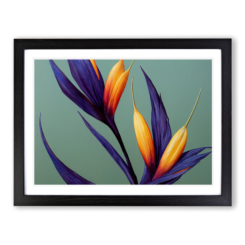 The Bird of Paradise Flower Vol.5 - Framed Print, 34cm H x 46cm W x 2cm D, Black