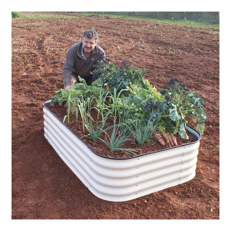Swepson Metal Raised Garden Bed