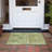 Machine Washable Indoor/Outdoor Xhevrie Green Rug-202933499