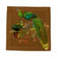 Square Napkins-177562011