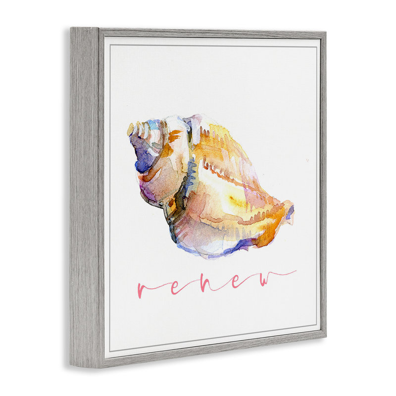 Conch Shell Renew Framed Giclee Art by John Keeling, 24" H x 24" W, Farmhouse Gray Framed Giclee