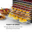 Klarstein Fruit Jerky 1000W Food Dehydrator