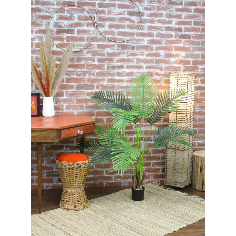 ARBRE DE PAUME 48 "PARADISE