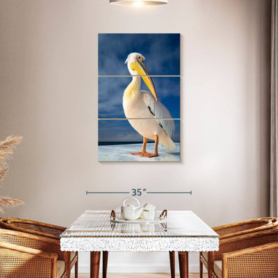 Brampt Shy Pelican