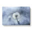 Dandelion Seeds Vol.11 - Wrapped Canvas-61849146