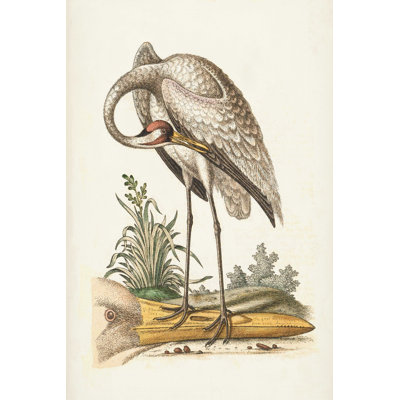 Héron antique et grues IV
