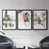 Black Framed