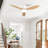 42-Inch Ceiling Fan With Light, Slim Flush-Mount Design, 3 ABS Plastic Blades, Remote Control Included, 6-Speed Adjustment, Reversible DC Motor, Quiet Operation, Ideal For Bedrooms, Indoor/Outdo-126007540