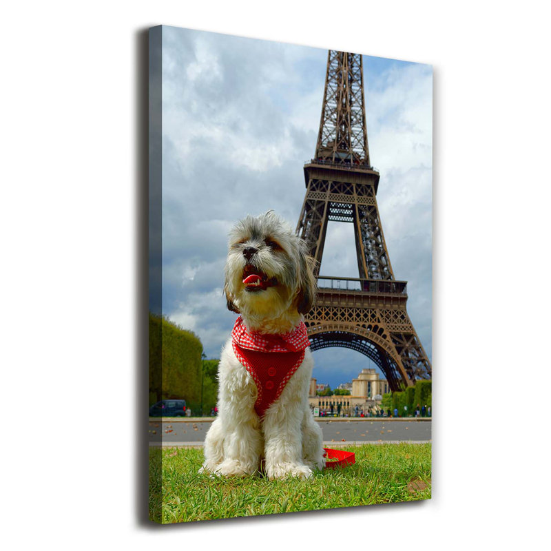 Dog In Paris - Wrapped Canvas Print