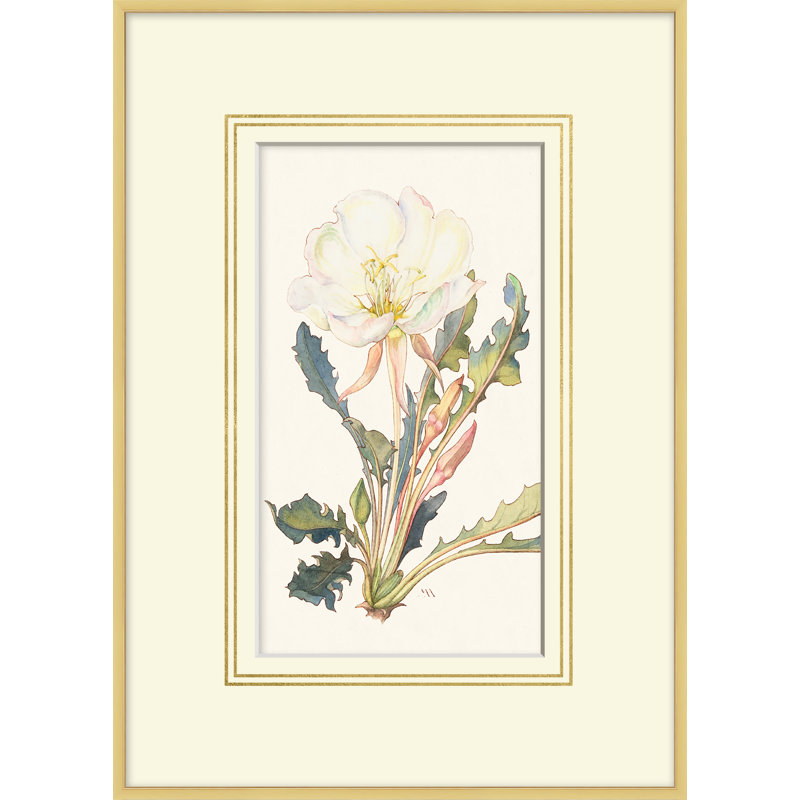 Blooming Study 4 Print