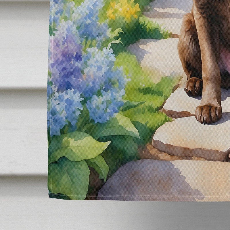Double Sided 40'' H x 28'' W Polyester House Flag