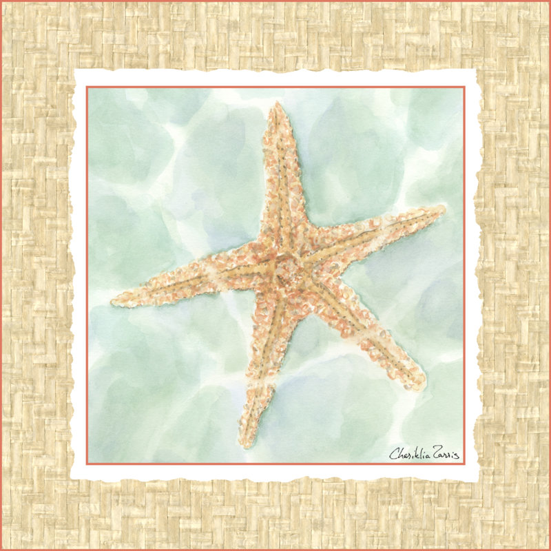 Ocean Starfish by Chariklia Zarris - Wrapped Canvas Painting, 30cm H x 30cm W